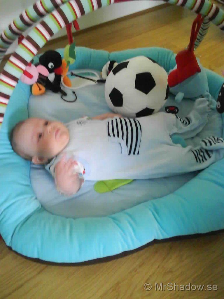 Foto 0086.jpg